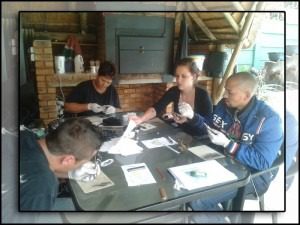 TATTOO TRAINING IN EDENGLEN