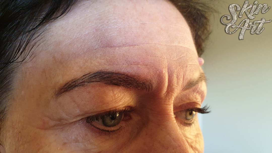 Skinart permanent makeup training archive photograph 5