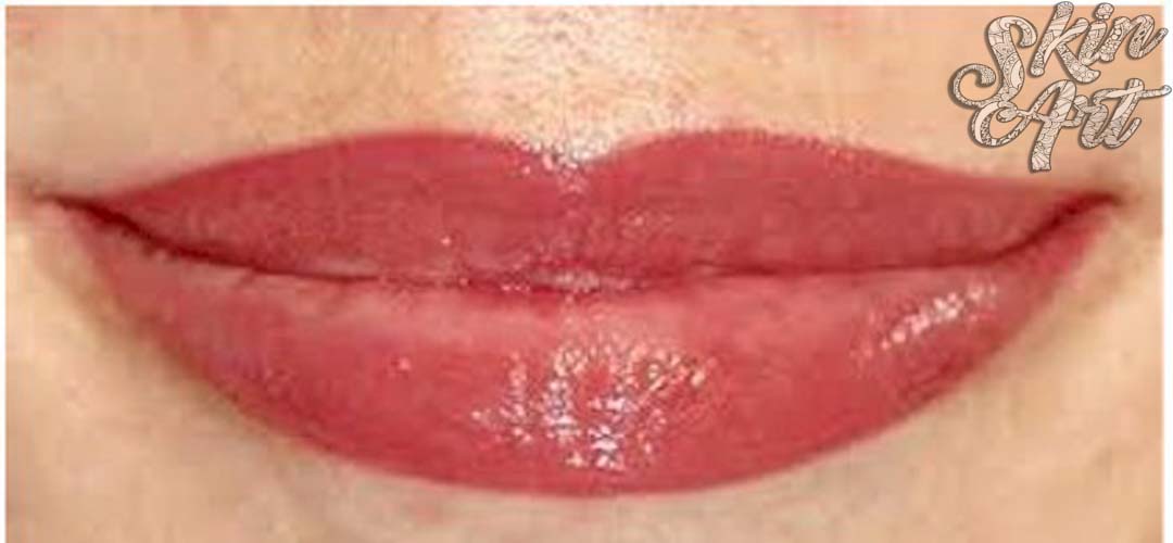 Skinart permanent makeup training archive photograph 18