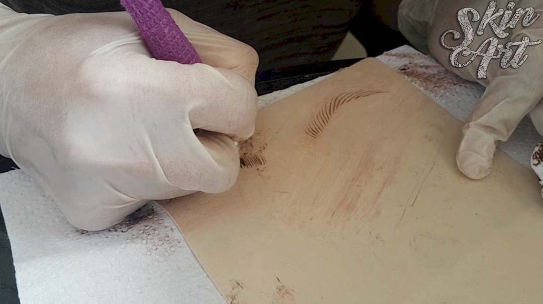 Skinart microblading training archive photograph 26