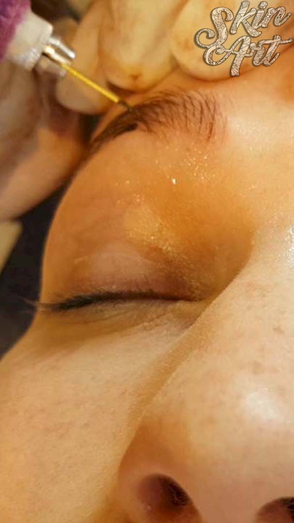 Skinart microblading training archive photograph 23