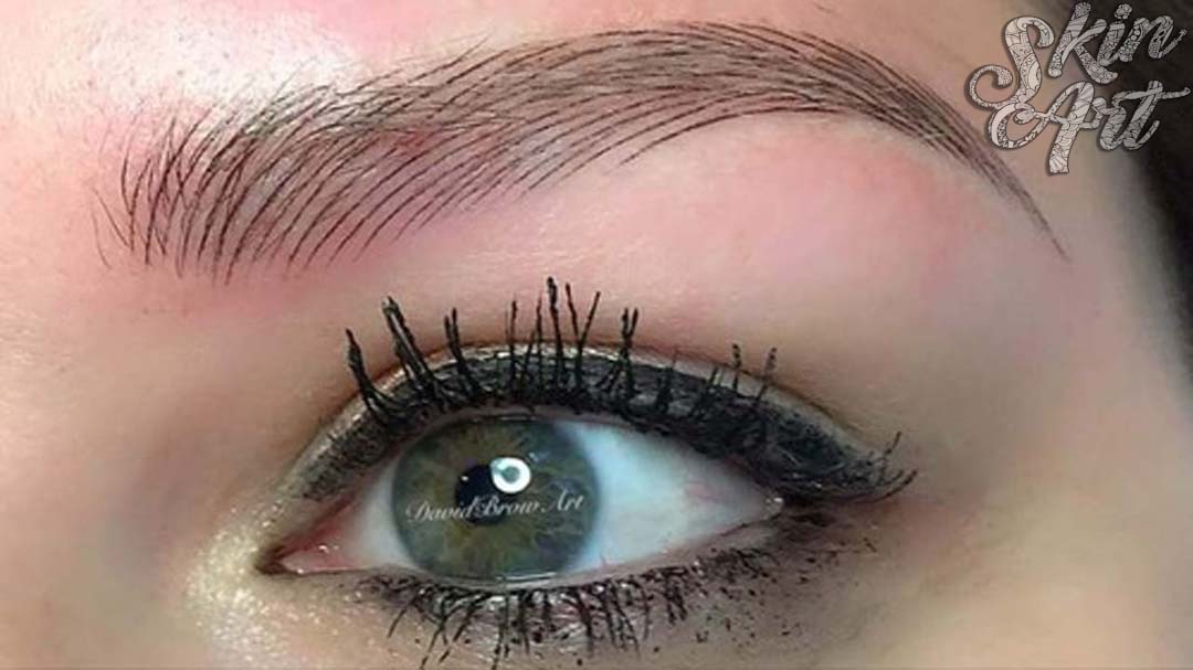 Skinart microblading training archive photograph 1
