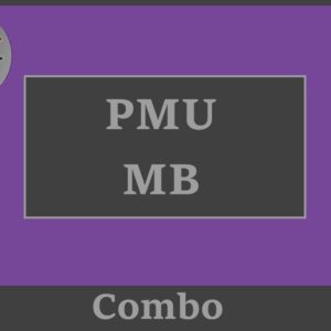 Combo PMU & Microblading